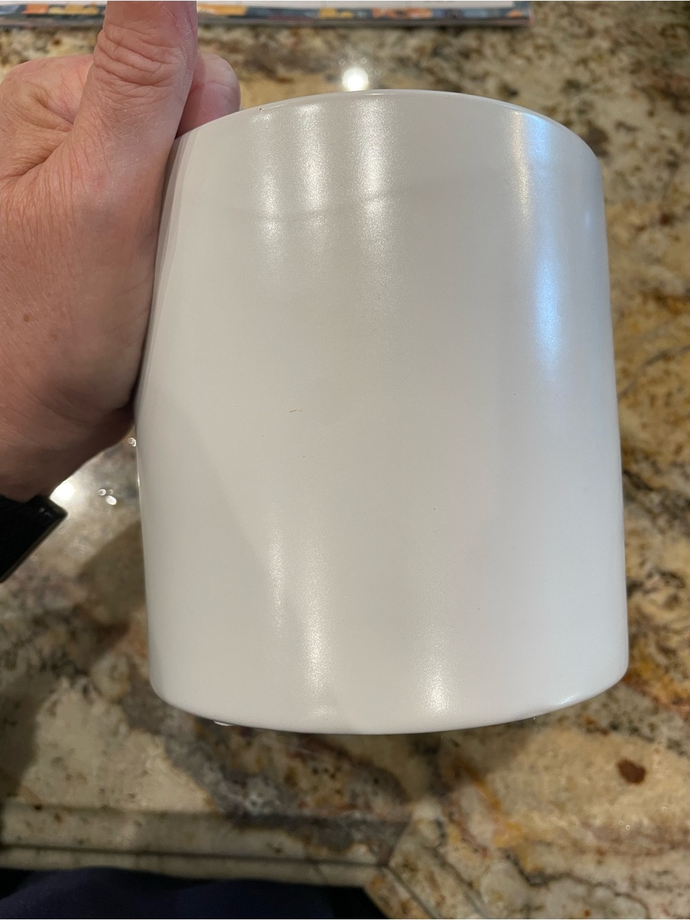 White Ceramic Planter Pot